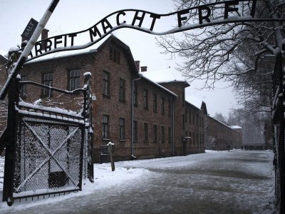 The Neighbour From Hell