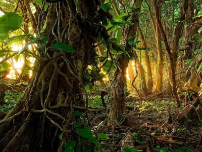 Snatching Victory From The Jaws Of Defeat